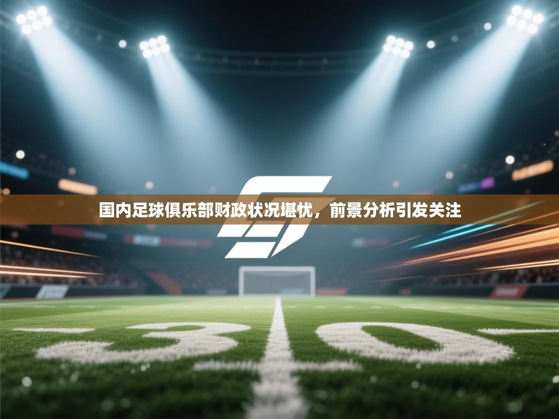 国内足球俱乐部财政状况堪忧，前景分析引发关注  第2张